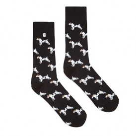 Jack Russell Socks